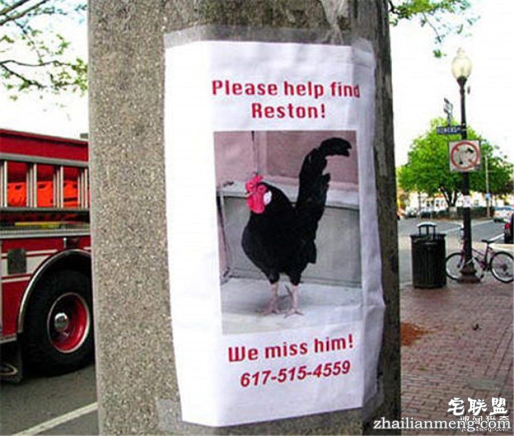 这些外国人太会玩，连找宠物的方式都这么奇特