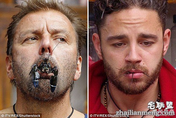 重口味网红：真人秀口含蜘蛛蟑螂