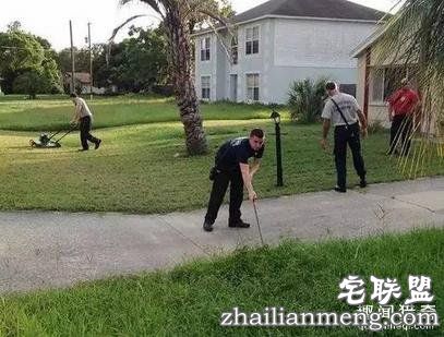 这20张照片, 证明生活还是很美好的！