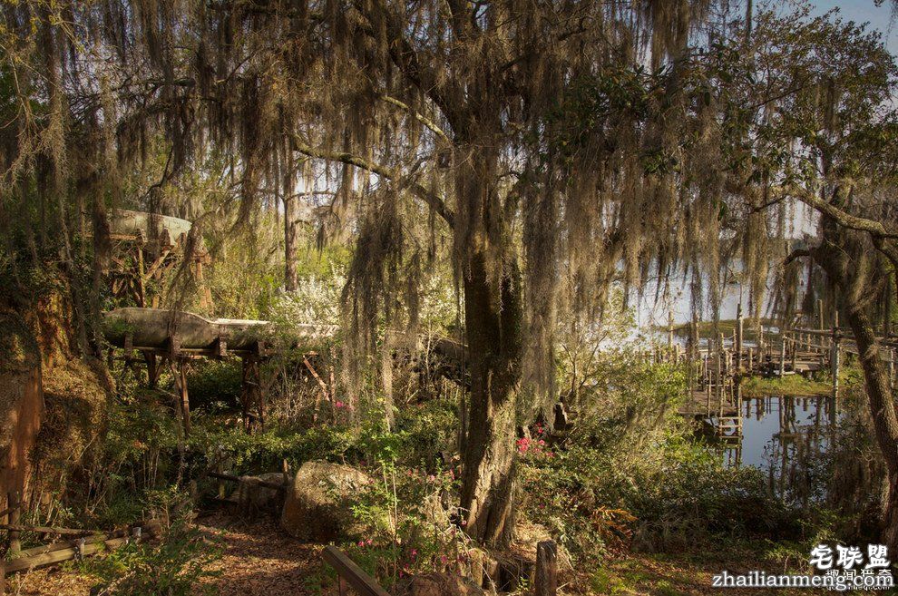 迪士尼水上乐园应该是个很欢乐的地方，但这座已荒废11年的诡异史前丛林园地让人都不敢靠近...