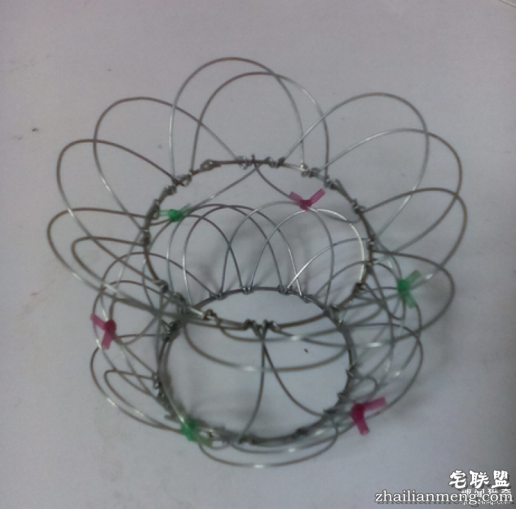 CandiceBees让你惊呆的动物雕塑！