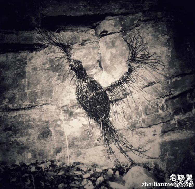 CandiceBees让你惊呆的动物雕塑！