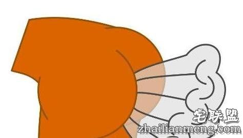 天天放屁，你却不知道的10个“屁知识”！