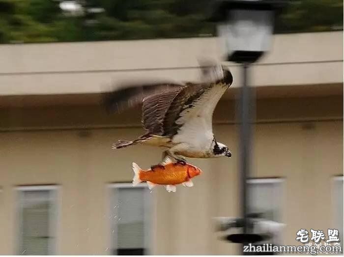照片神吐槽，看着看着就笑了！