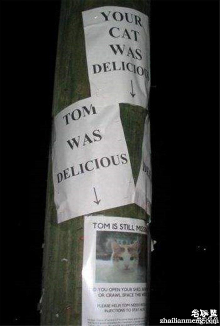 这些外国人太会玩，连找宠物的方式都这么奇特