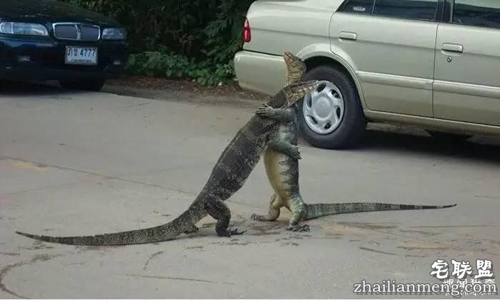 照片神吐槽，看着看着就笑了！