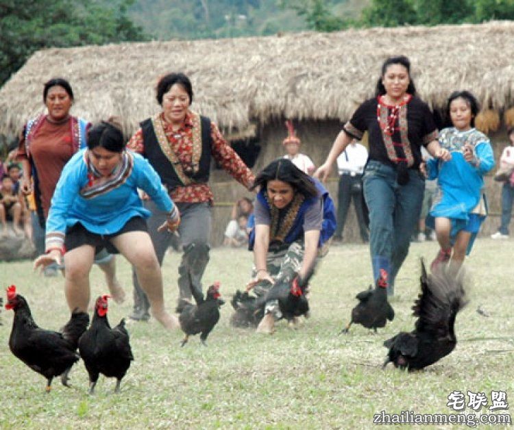 <a href=https://www.zhailm.com/e/tags/?tagname=%E6%97%A5%E6%9C%AC target=_blank class=infotextkey>日本</a>高薪招聘“抓鸡员”，只在深夜工作