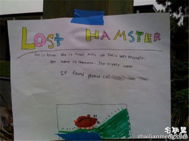 这些外国人太会玩，连找宠物的方式都这么奇特