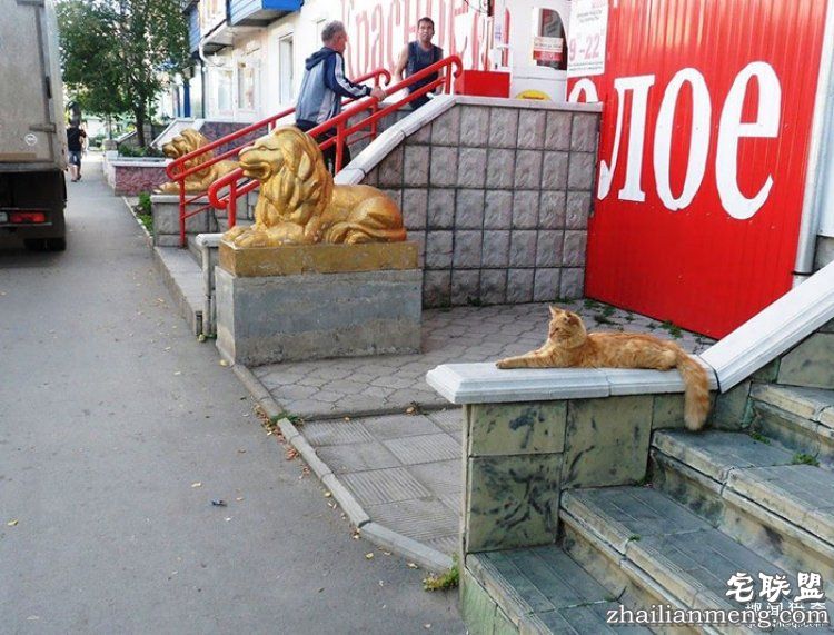 所谓的天时地利人和，说的就是这些照片