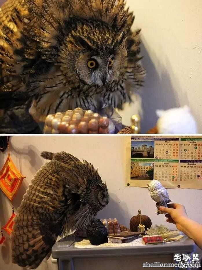 照片神吐槽，看着看着就笑了！