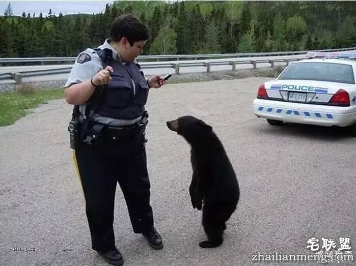 照片神吐槽，看着看着就笑了！