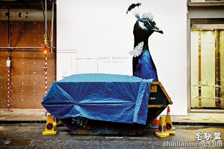 所谓的天时地利人和，说的就是这些照片