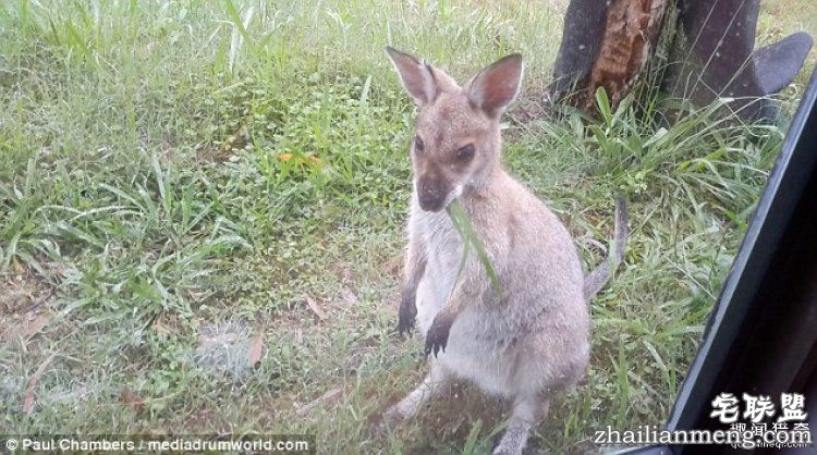澳大利亚一对夫妻，用集装箱给自己造了栋房