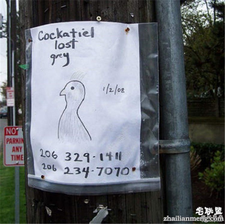 这些外国人太会玩，连找宠物的方式都这么奇特