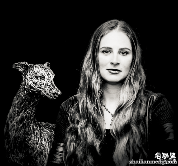 CandiceBees让你惊呆的动物雕塑！