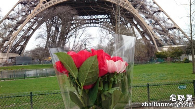 他一年内跑20场马拉松，疯狂的背后只为了故去的妻子