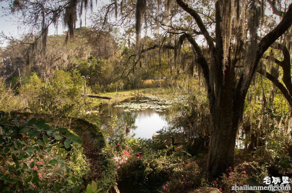 迪士尼水上乐园应该是个很欢乐的地方，但这座已荒废11年的诡异史前丛林园地让人都不敢靠近...