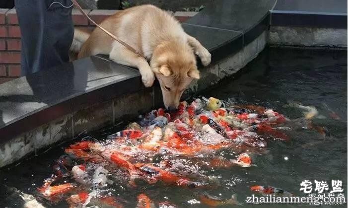 照片神吐槽，看着看着就笑了！