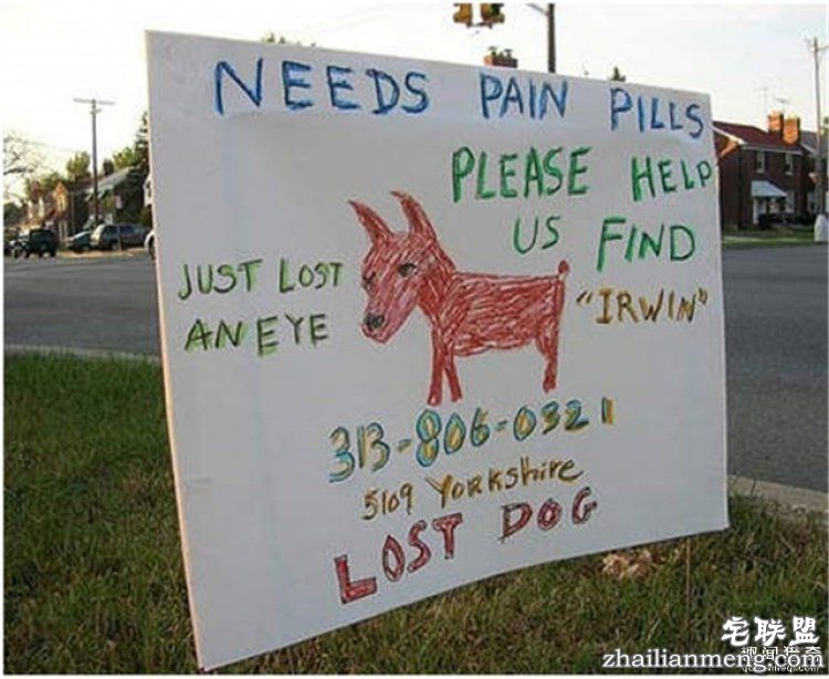 这些外国人太会玩，连找宠物的方式都这么奇特