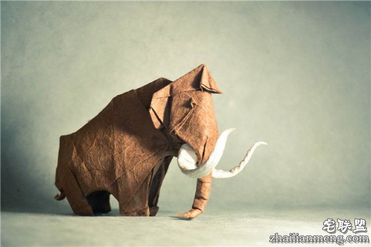 西班牙帅哥音乐家爱折纸，还折出了一个新高度