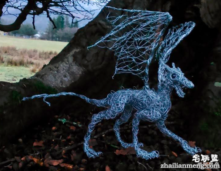 CandiceBees让你惊呆的动物雕塑！