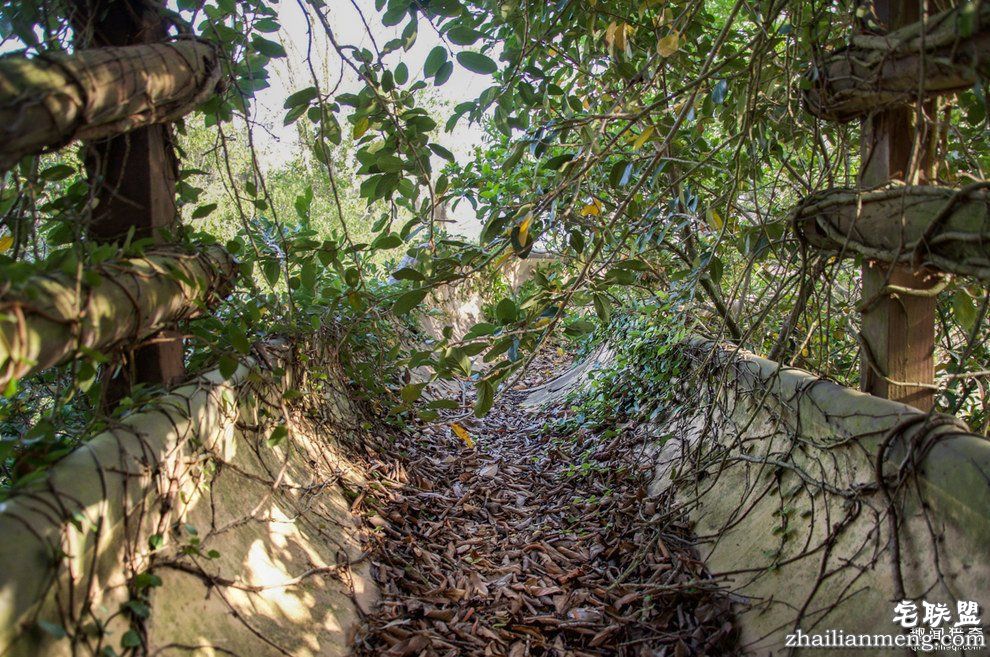 迪士尼水上乐园应该是个很欢乐的地方，但这座已荒废11年的诡异史前丛林园地让人都不敢靠近...