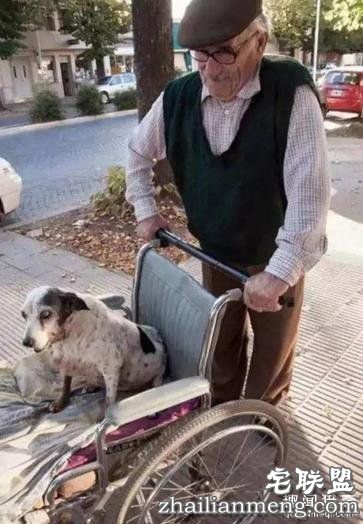 这20张照片, 证明生活还是很美好的！