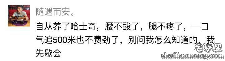每个养哈士奇的主人，内心都住着一个喜剧之王