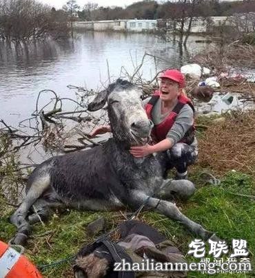 这20张照片, 证明生活还是很美好的！