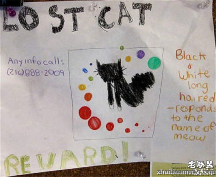 这些外国人太会玩，连找宠物的方式都这么奇特