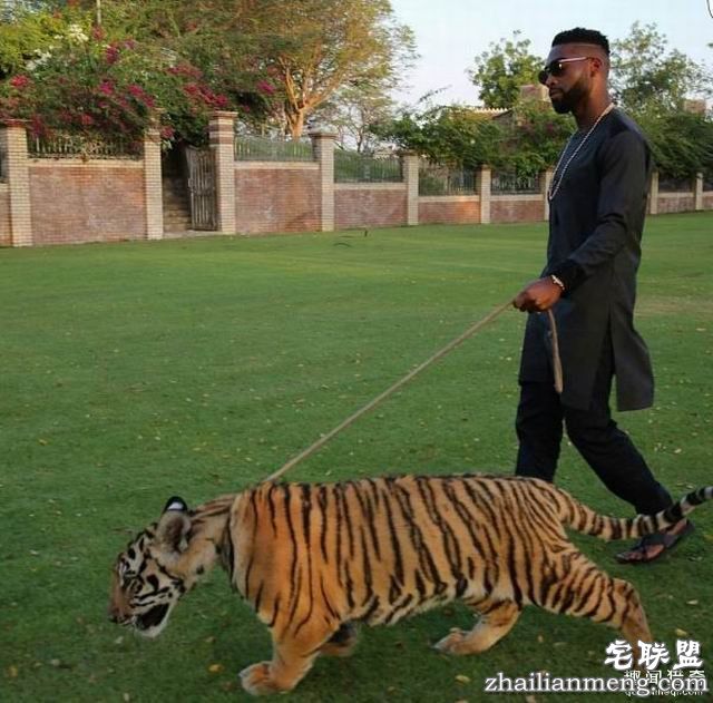 那些年刺痛我们双眼的炫富行为 IG上的各国炫富狂潮