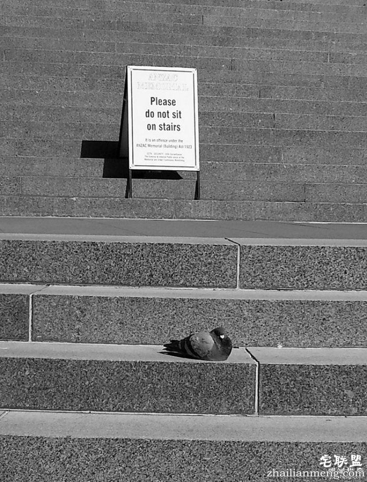 所谓的天时地利人和，说的就是这些照片