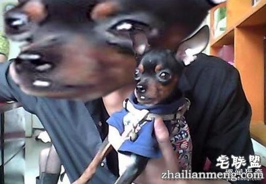 求大神PS的后果，逗大家笑一笑！