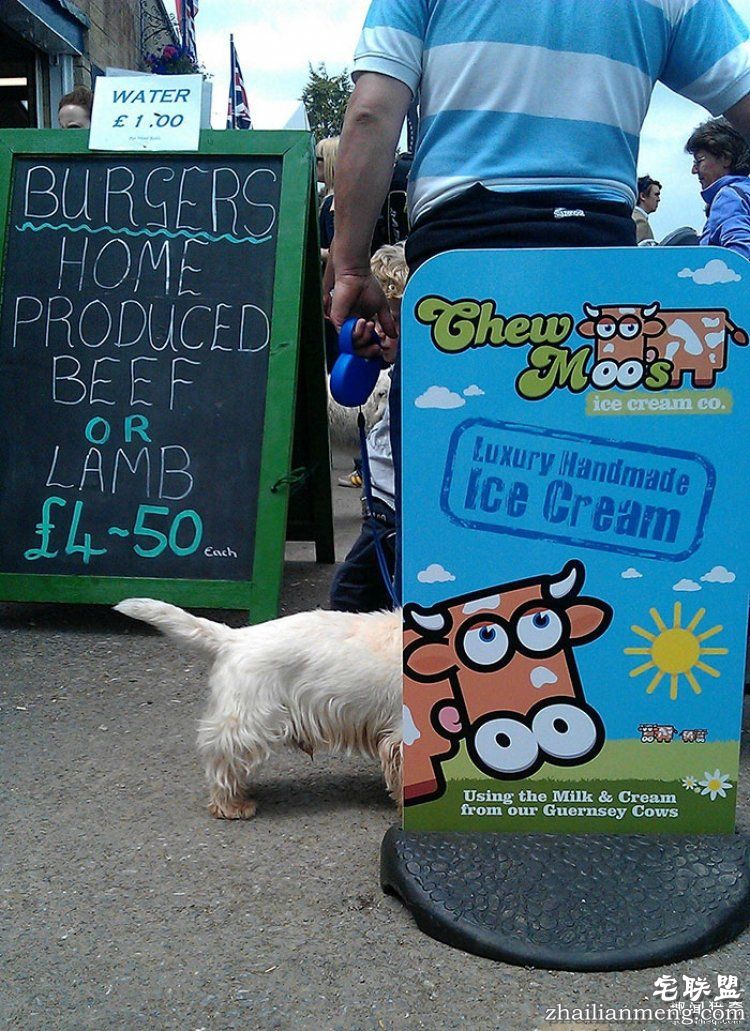 所谓的天时地利人和，说的就是这些照片