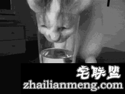 这些让人深信不疑的事情，竟然都是错的…