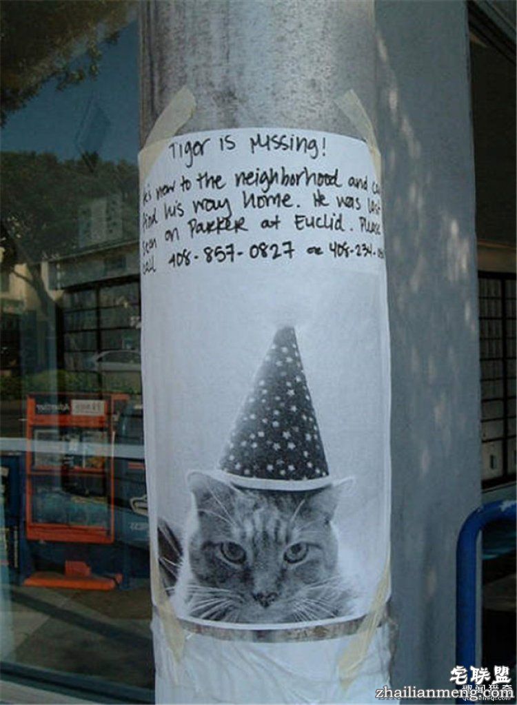 这些外国人太会玩，连找宠物的方式都这么奇特