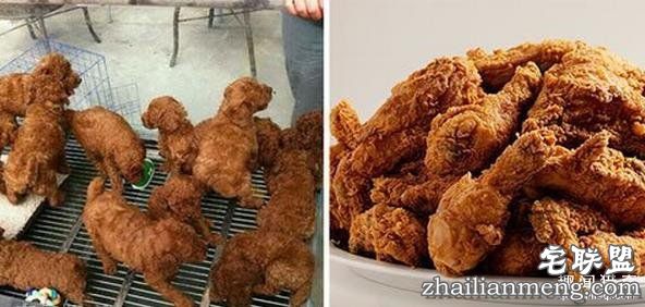 搞笑趣图：他们长得这么像, 真的不是故意的!