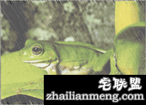 这些让人深信不疑的事情，竟然都是错的…