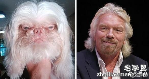 搞笑趣图：他们长得这么像, 真的不是故意的!