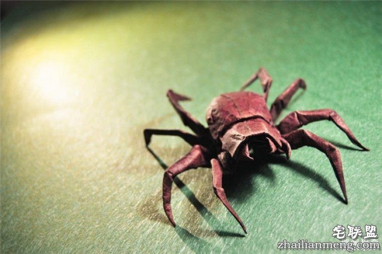 西班牙帅哥音乐家爱折纸，还折出了一个新高度