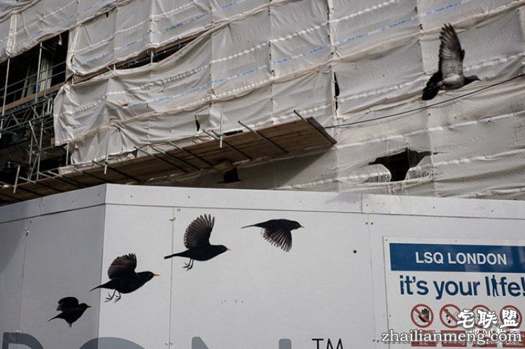 所谓的天时地利人和，说的就是这些照片