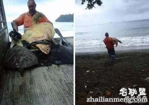 这20张照片, 证明生活还是很美好的！