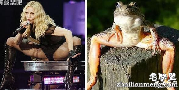 搞笑趣图：他们长得这么像, 真的不是故意的!