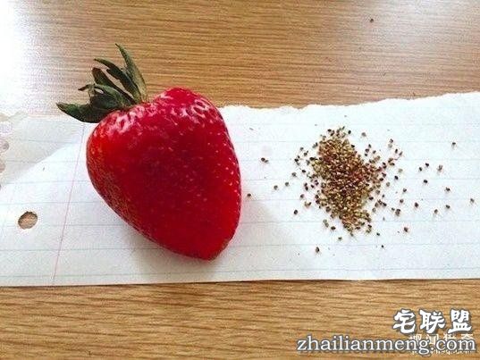 搞笑内涵的段子，你看懂了几个？