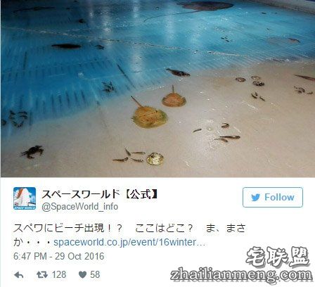 日本游乐园在熘冰场「埋5000隻死鱼」称世界首见，但恐怖血水画面让网友崩溃喊：「脑残吗?!」