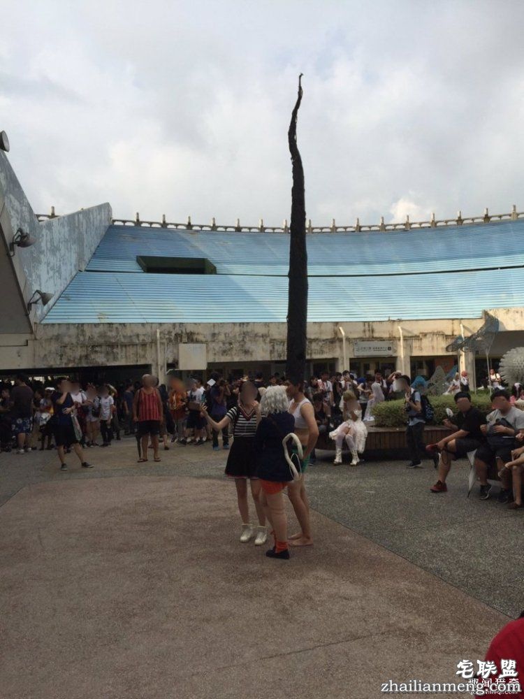 哥们你火了，这头发高的，简直要上天！