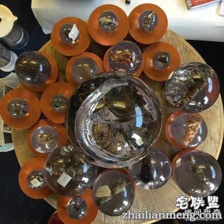 粪便博物馆刚半干的牛粪被人偷走 居然还有人偷屎！ 第2张图片