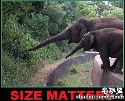 这是一个千古难题：大小尺寸到底重不重要？