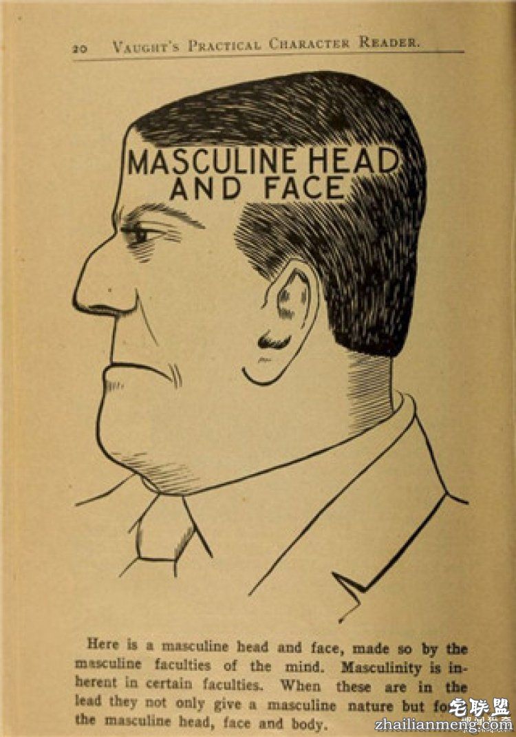19世纪的女人挑老公要看脑袋的形状