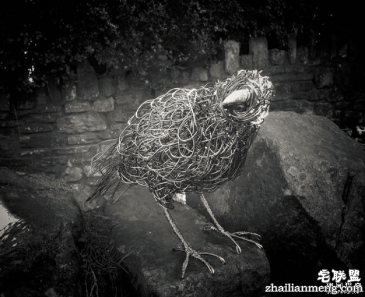 CandiceBees让你惊呆的动物雕塑！